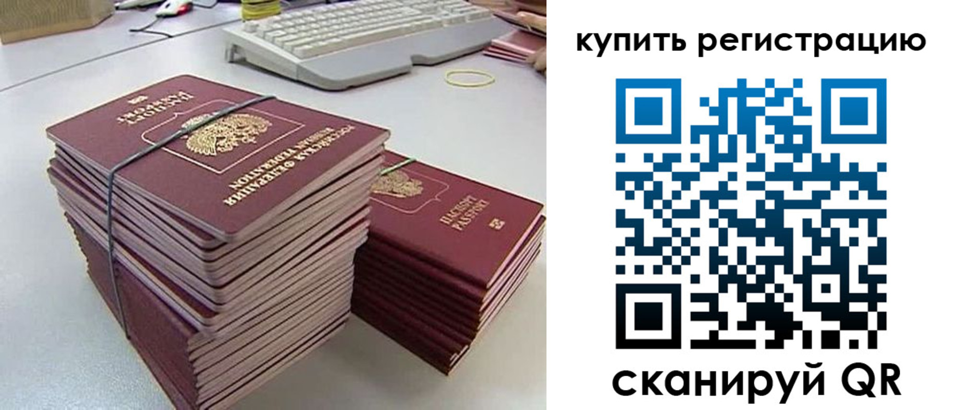 регистрация для школы в Пионерском